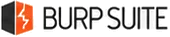 Burp Suite